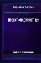 Проект «Лабиринт 12» - Скрипка Андрей